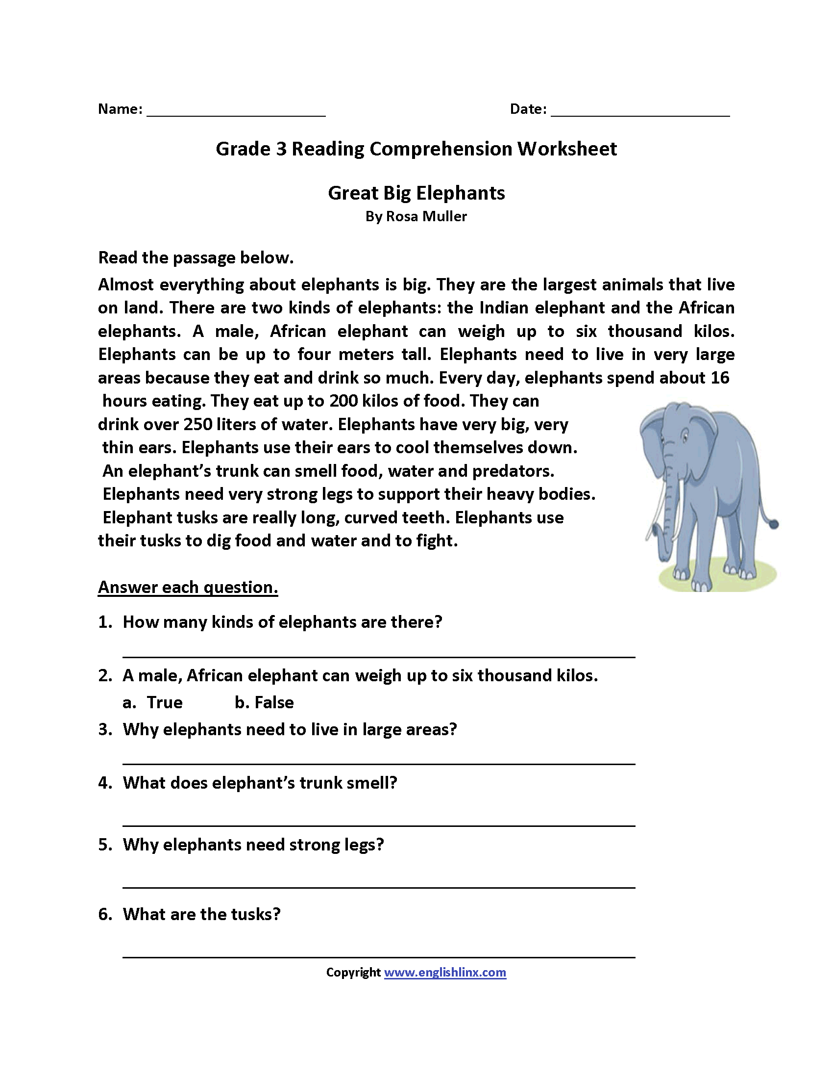 Great Big Elephants Third Grade Reading Worksheets | Board | Reading - Third Grade Reading Worksheets Free Printable