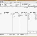 Hourly Wage Then Log Download Pay Stub Template Word Free Pay Stub   Free Printable Check Stubs