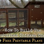 How To Build The Simple Suburban Chicken Coop   Free Printable Plans   Free Printable Chicken Coop Plans