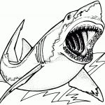 Images For > Realistic Sea Animal Coloring Pages Shark | Coloring   Free Printable Shark Coloring Pages