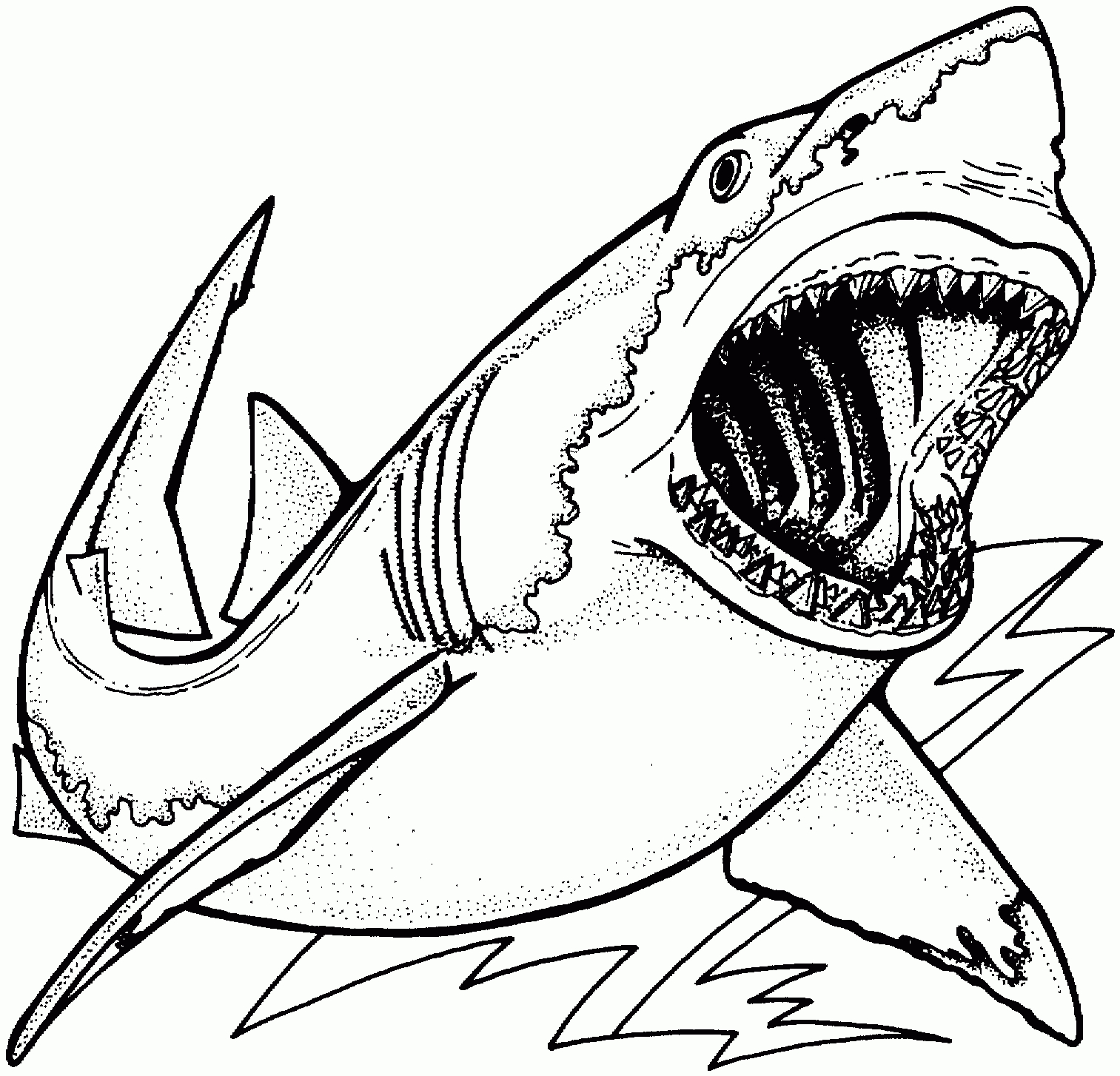 Images For &amp;gt; Realistic Sea Animal Coloring Pages Shark | Coloring - Free Printable Shark Coloring Pages