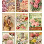 Jodie Lee Designs: Free Printable Download! Vintage Seed Packet Cards!   Free Printable Vintage Pictures