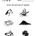Kindergarten Earth Science Worksheet Printable | Worksheets (Legacy   Free Printable Reptile Worksheets