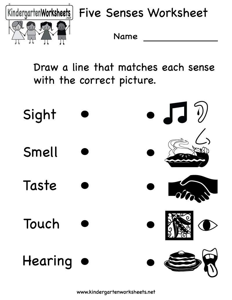 Kindergarten Five Senses Worksheet Printable | Teaching Ideas - Free Printable Worksheets For Kids Science