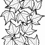 Leaf Coloring Page Cooloring Book Fall Leaves Coloring Sheet Free   Free Printable Fall Leaves Coloring Pages