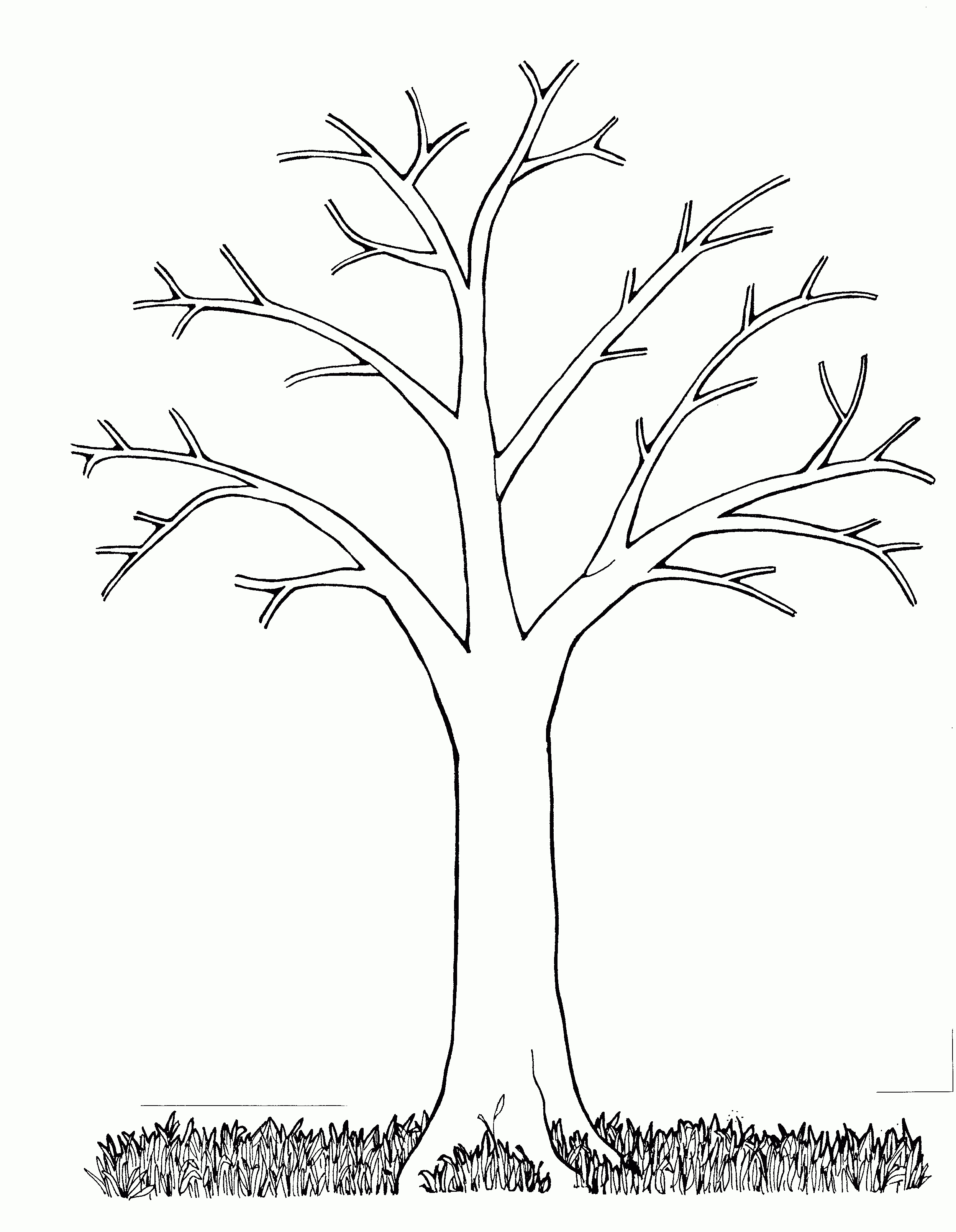 Mormon Share } Tree Bare | Preschool | Tree Coloring Page, Tree - Tree Coloring Pages Free Printable