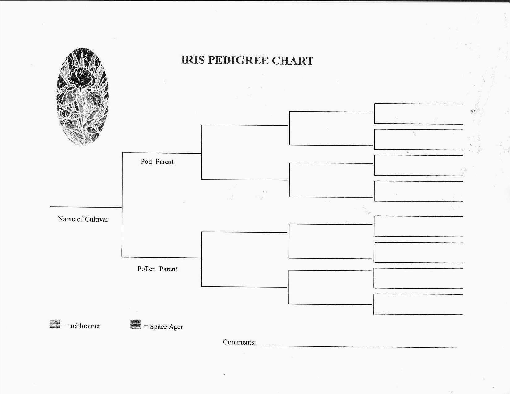 Printable Pedigree Chart For Dogs