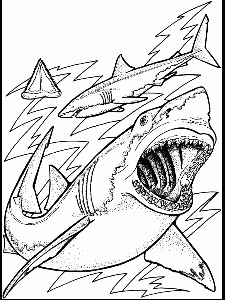 Ocean Coloring Pages | Ocean Unit | Ocean Coloring Pages, Fish - Free Printable Shark Coloring Pages