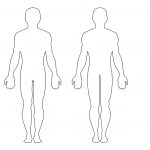 Outline Sketch Of Human Body At Paintingvalley | Explore   Free Printable Human Body Template