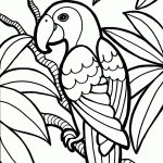 Parrot Coloring Pages | Cinderella | Jungle Coloring Pages, Bird   Free Printable Parrot Coloring Pages