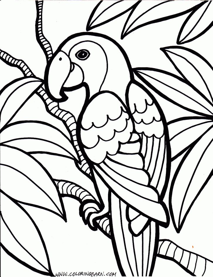 Free Printable Parrot Coloring Pages