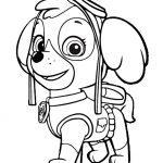 Paw Patrol Coloring Pages   Best Coloring Pages For Kids   Free Printable Paw Patrol Coloring Pages