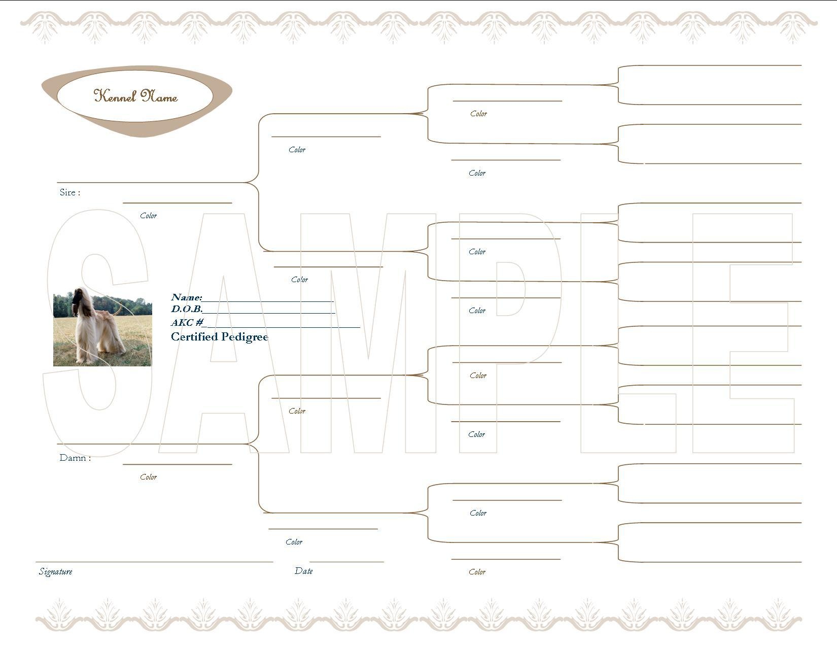 blank 4 generation dog pedigree template