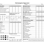 Preschool Progress Report Template | Childcare | Kindergarten Report   Free Printable Preschool Report Cards