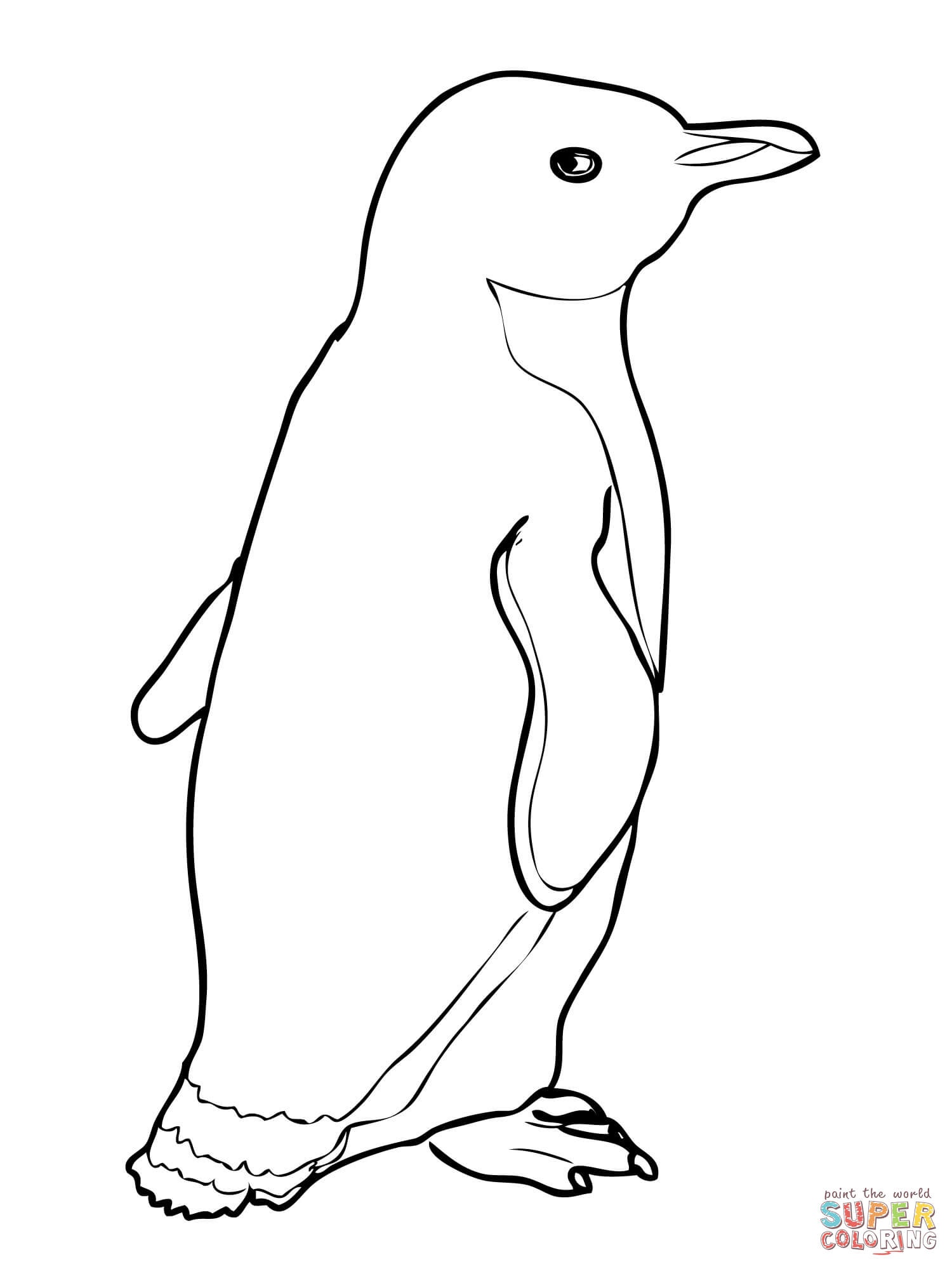 Printable Pictures Of Penguins Group With 84 Items Free Printable