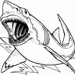 Printable Shark Pictures Luxury Hammerhead Shark Coloring Pages Free   Free Printable Shark Coloring Pages
