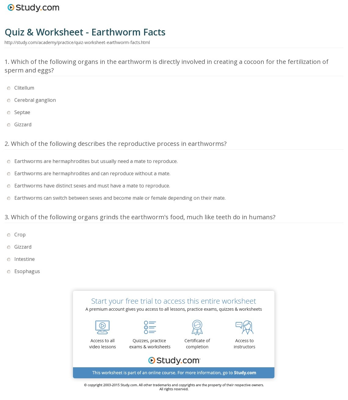 Quiz &amp;amp; Worksheet - Earthworm Facts | Study - Free Printable Worm Worksheets