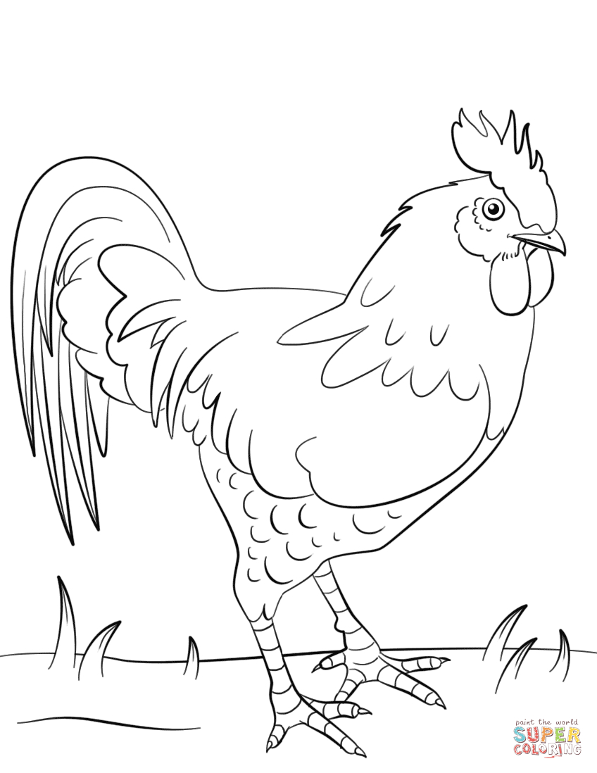 Rooster Coloring Page | Free Printable Coloring Pages - Free Printable Pictures Of Roosters