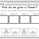 Sequencing Printables The Snowy Day Sequencing Worksheets Cause   Free Printable Sequencing Worksheets 2Nd Grade