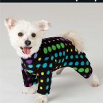 Simplicity 2082 From Simplicity Patterns Is A Dog Coat Sewing   Free Printable Dog Pajama Pattern