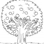 Tree Coloring Pages   Apple Tree Coloring Page Free Printable   Tree Coloring Pages Free Printable