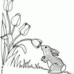 Tulip Coloring Pages | Free Coloring Pages   Free Printable Tulip Coloring Pages